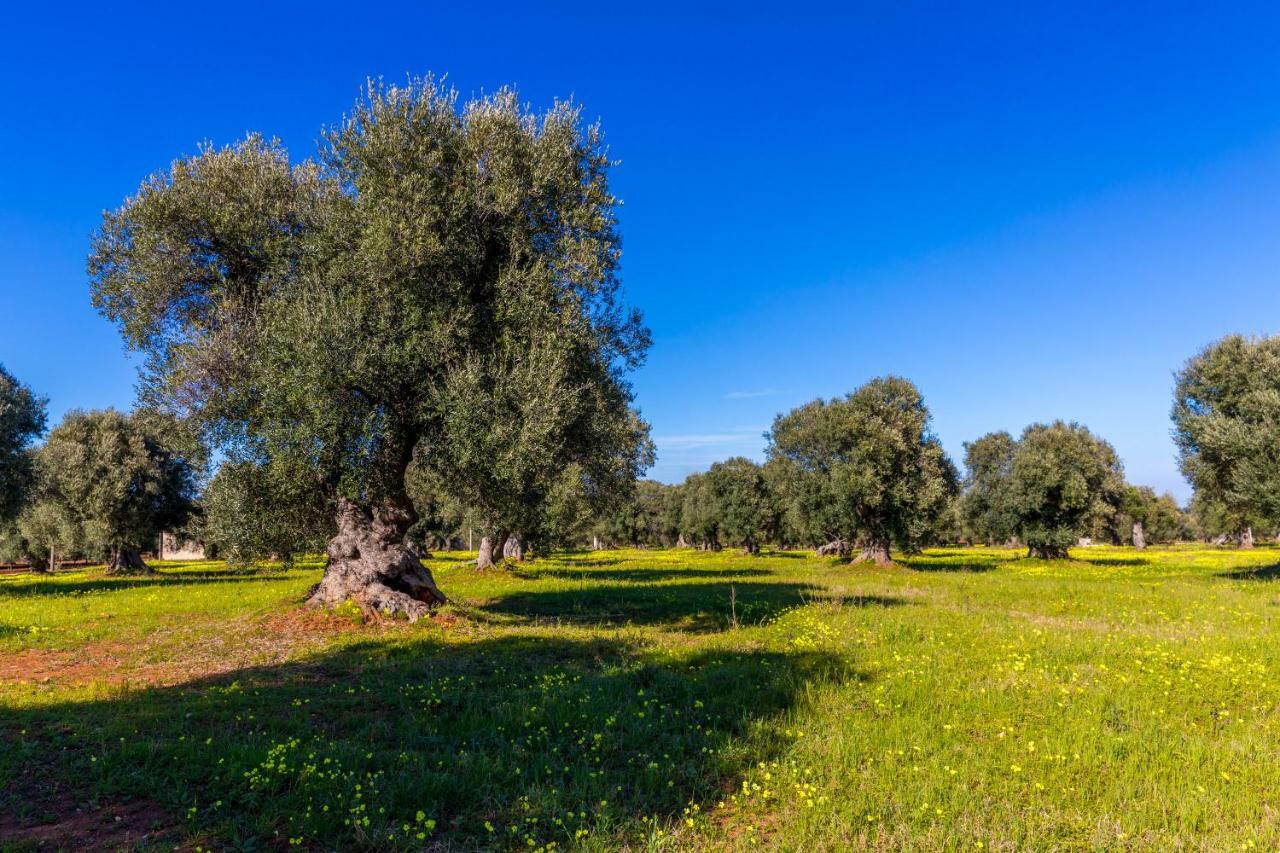 شقة Casa Bixie Old Town Of Ostuni Puglia المظهر الخارجي الصورة